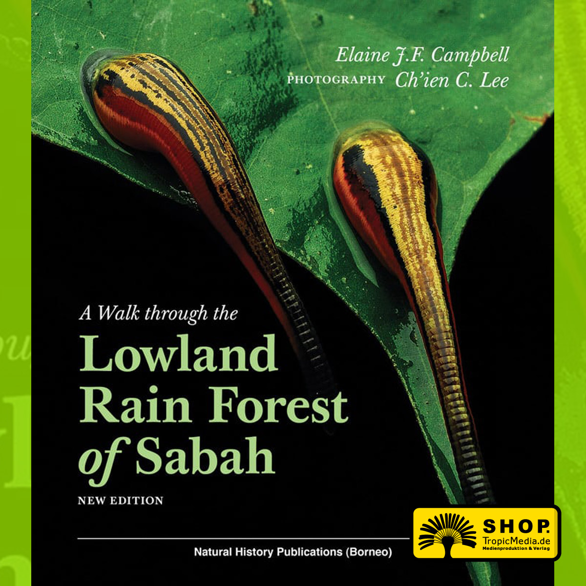 A Walk through the Lowland Rain Forest of Sabah (Elaine J.F. Campbell)