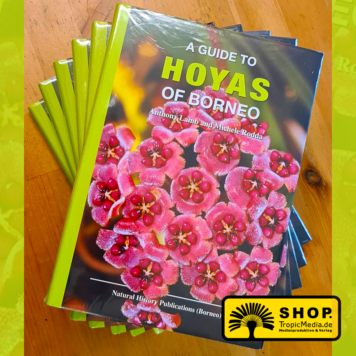 A Guide to Hoyas of Borneo - Hardcover - (Anthony Lamb, Michele Rodda, Linus Gokulsing, Steven Bosuang, Sri Rahayu)