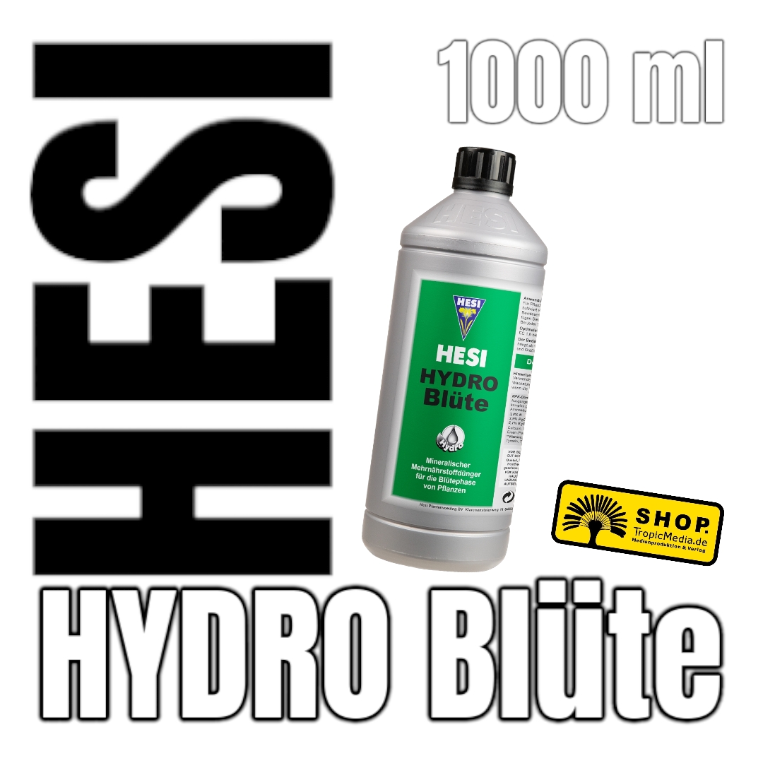 Hesi Hydro Blüte