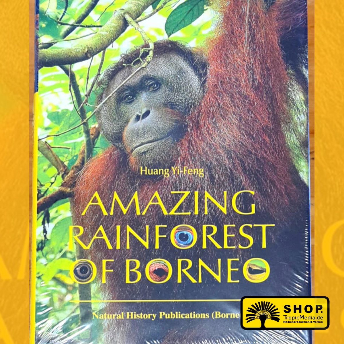 Amazing Rainforest of Borneo (Huang Yi-Feng)