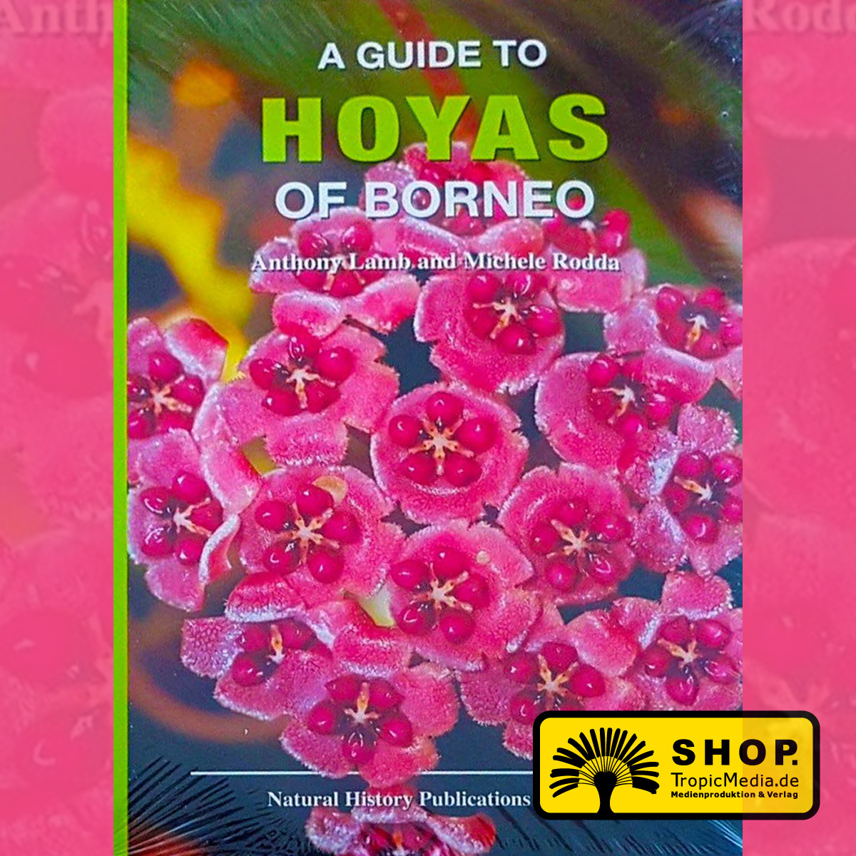 A Guide to Hoyas of Borneo - Paperback - (Anthony Lamb, Michele Rodda, Linus Gokulsing, Steven Bosuang, Sri Rahayu)