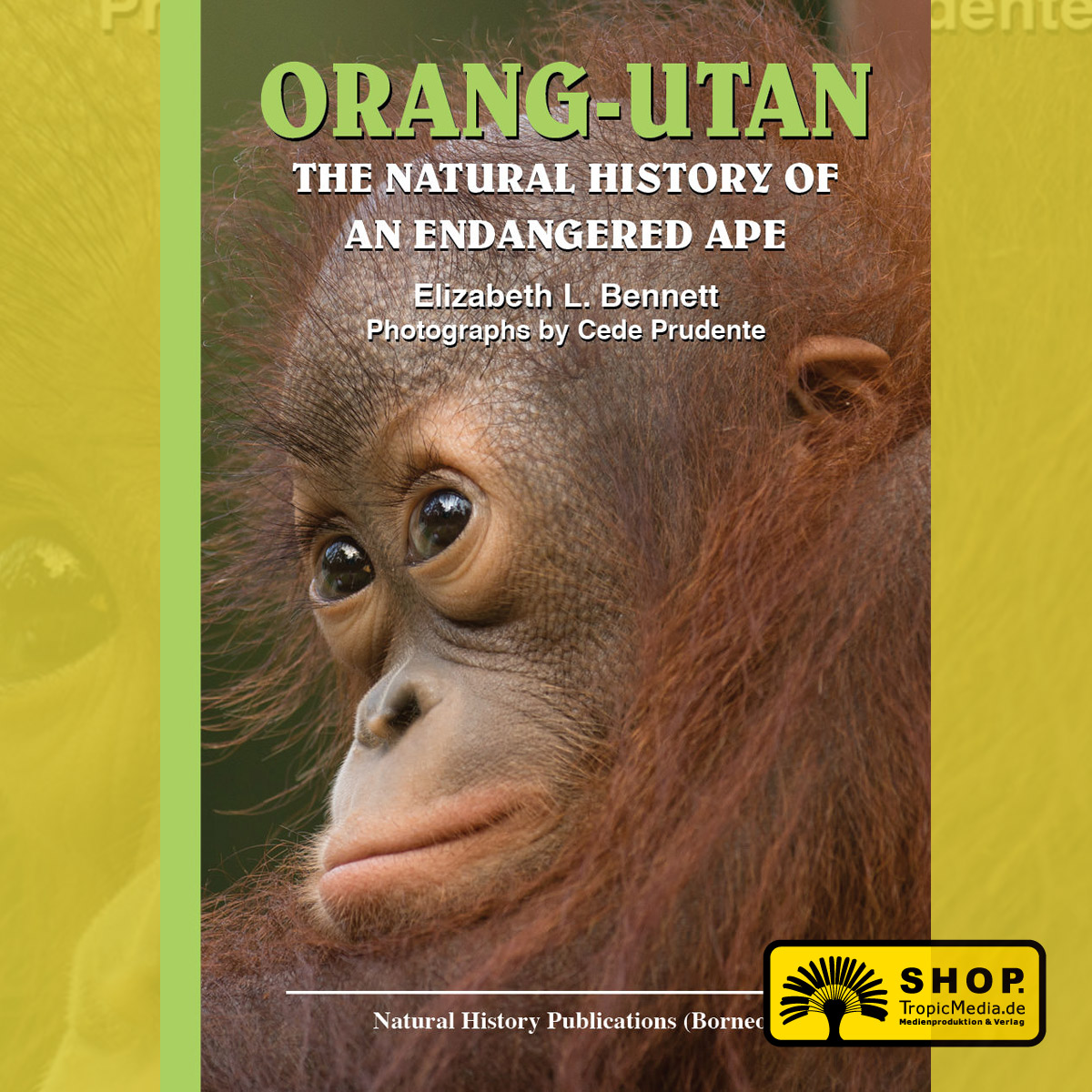 Orang-Utan - The Natural History of an Endangered Ape (Elizabeth L Bennett)